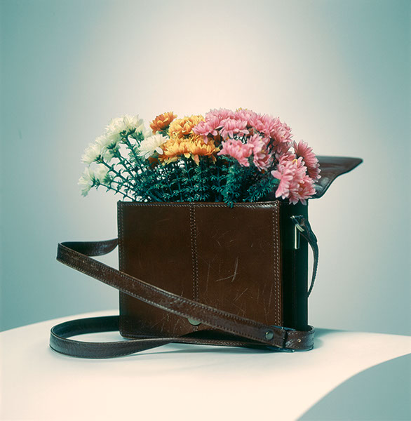 Produktfotografi av gräsliga blommor som sticker upp ur en gammal handväska