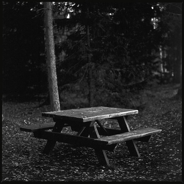 Ett fotografi på en bänk vid Lillfjärden i Hudiksvall